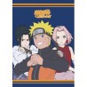 MANTA NARUTO