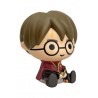 HUCHA HARRY POTTER