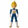 FIGURA VEGETA