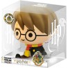 HUCHA HARRY POTTER